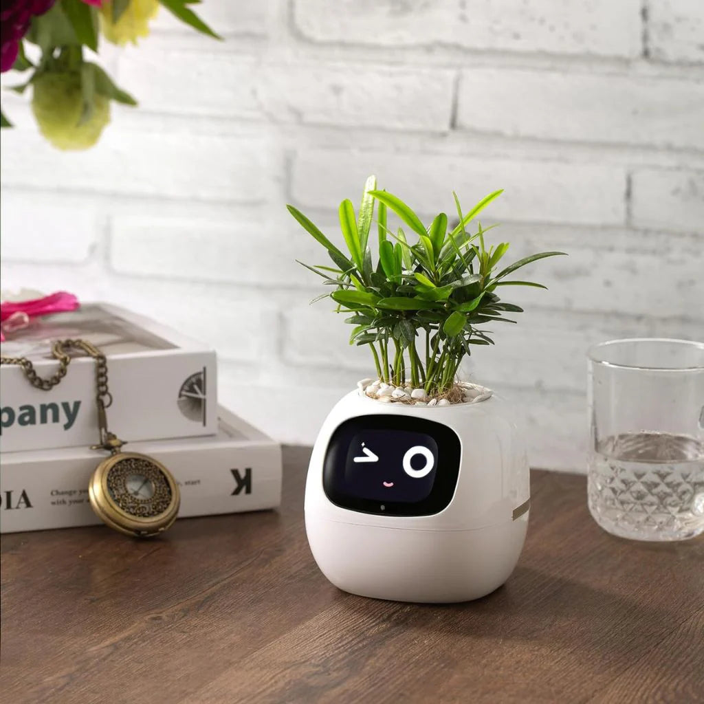 AI Smart Plant Pot